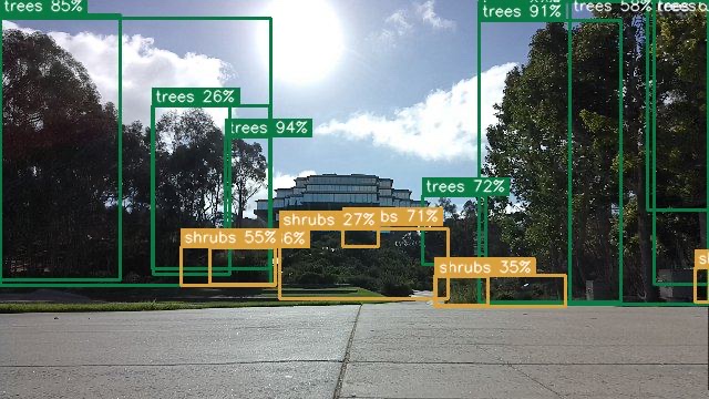 Trees identified with confidence scores above ninety percent