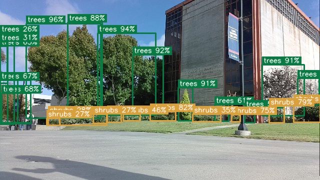 A dense row of trees and shrubs boxed with confidence scores